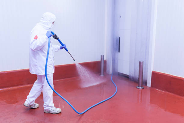 Best Concrete Sealing  in Algonac, MI